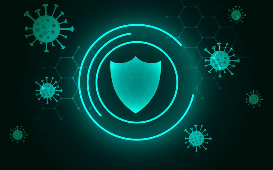 Antivirus / Antimalware